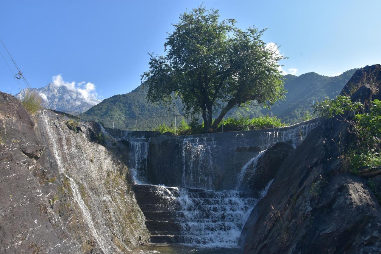Hotel Hill Ventures Adventure Camp And Restaurant Dharamshala Exterior foto
